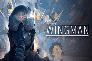 僚机计划/Project Wingman