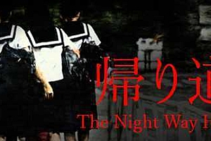 归家夜途/The Night Way Home