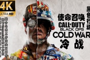 召唤17 黑色行动 冷战