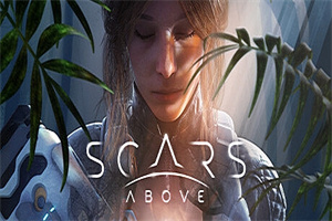 遍体鳞伤/Scars Above