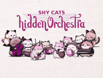 害羞猫隐藏乐团/Shy Cats Hidden Orchestra