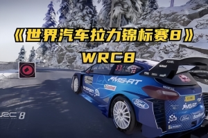 世界汽车拉力锦标赛8/WRC 8 FIA World Rally Championship