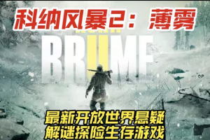 科纳风暴2/Kona II: Brume