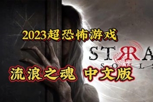 流浪之魂/Stray Souls