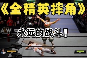 全精英摔角：永远的战斗/AEW: Fight Forever